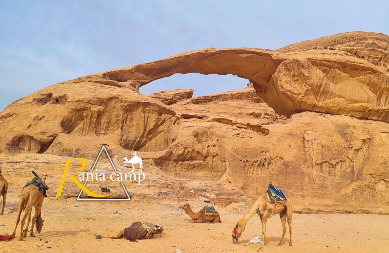Wadi Rum,Rania Camp Eksteriør billede
