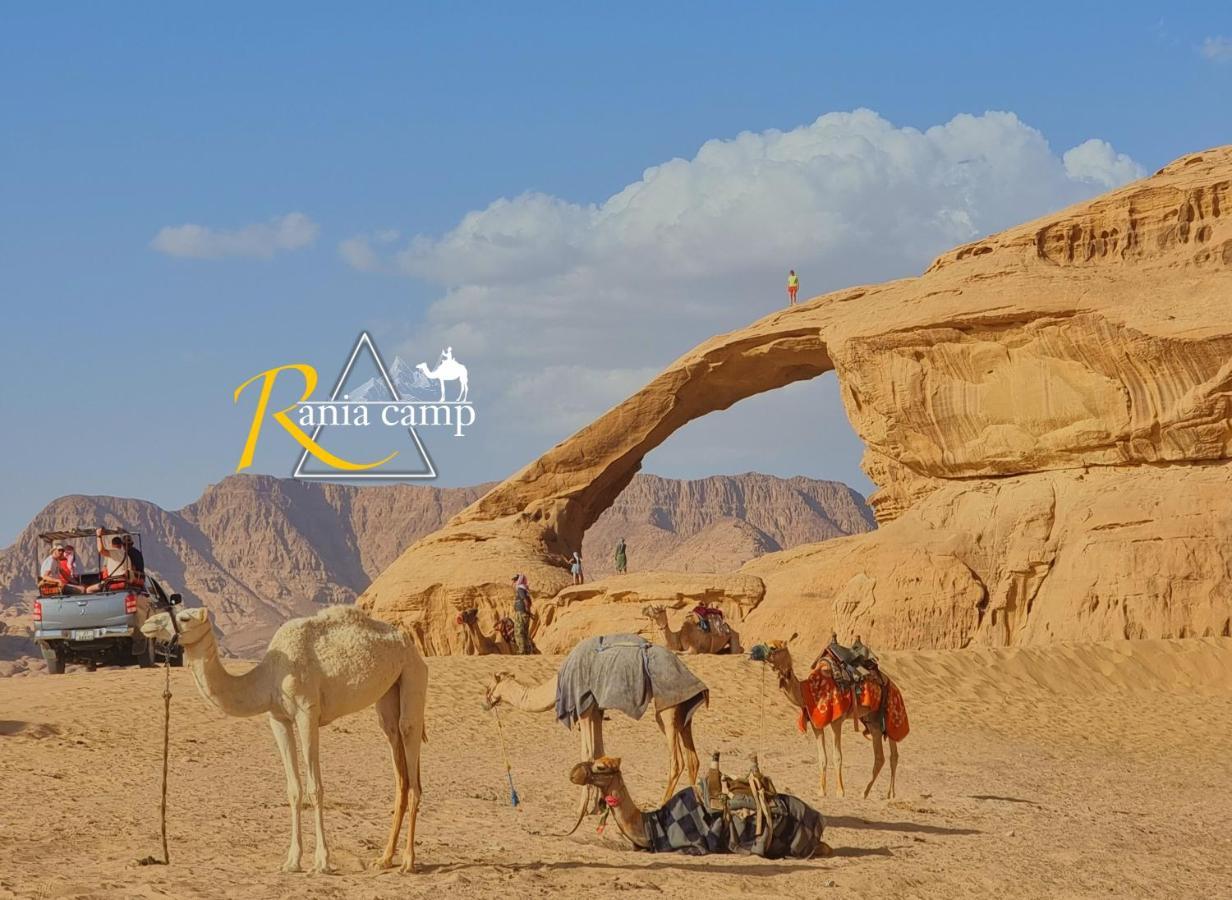 Wadi Rum,Rania Camp Eksteriør billede