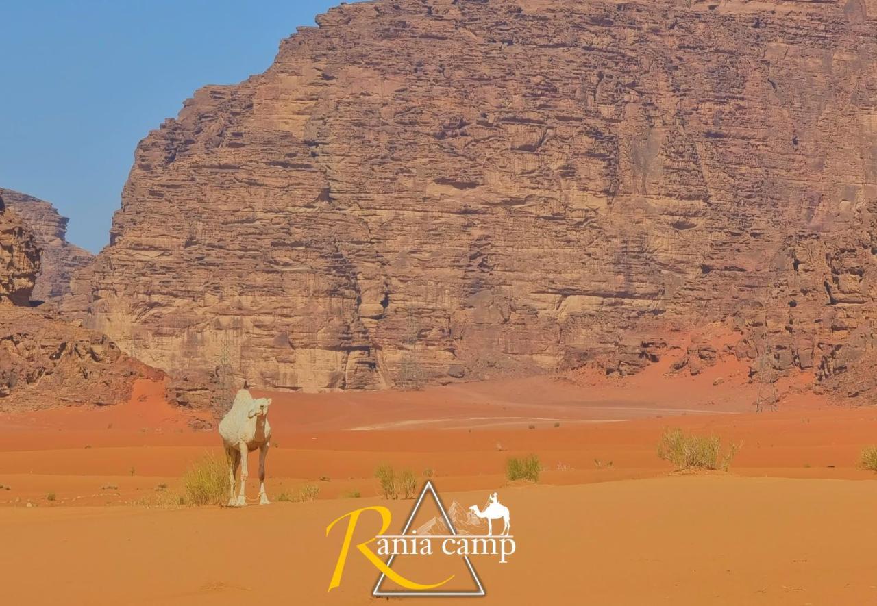 Wadi Rum,Rania Camp Eksteriør billede